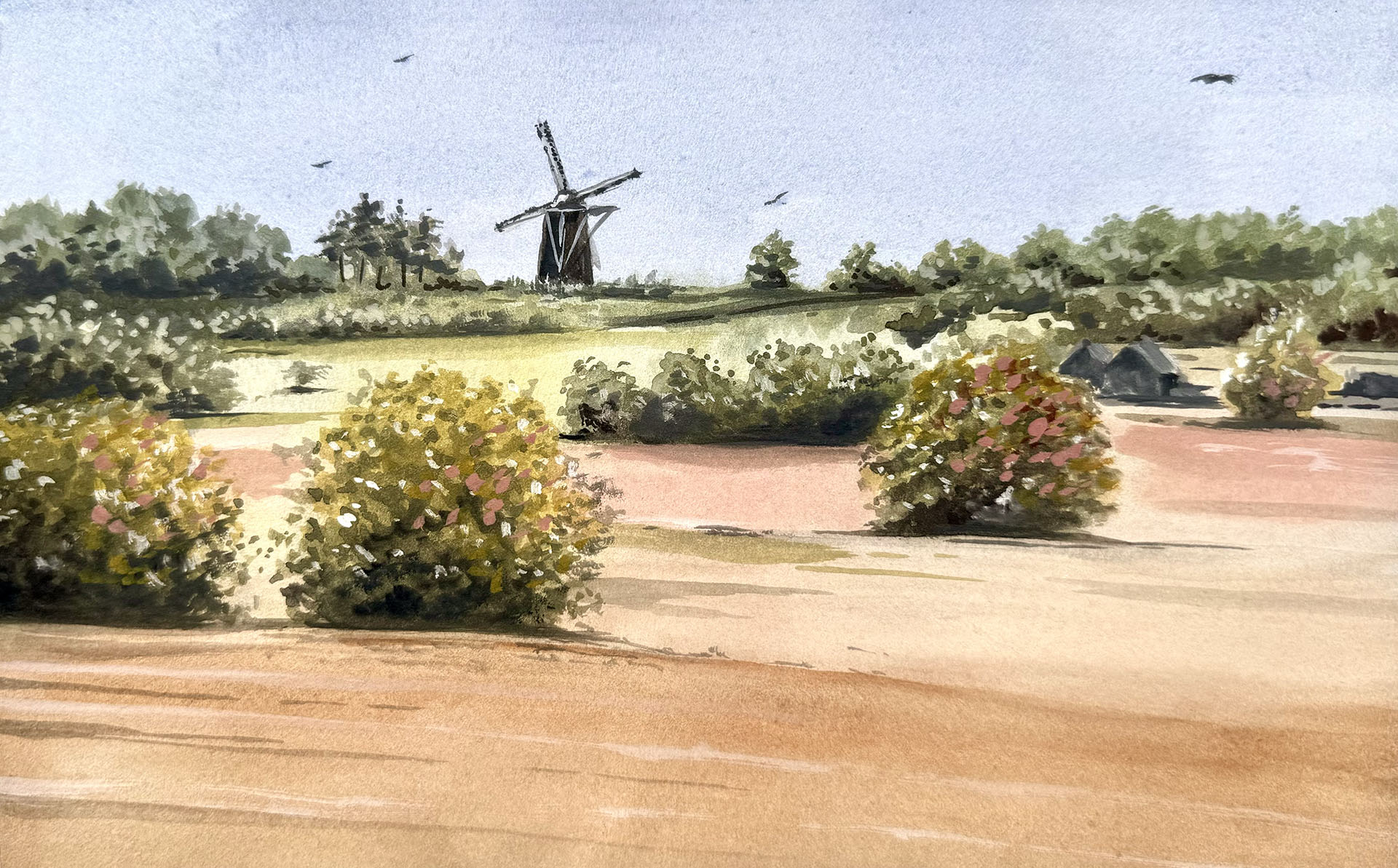 Mill Op de Vrouweheide, Ubachsberg, Limburg