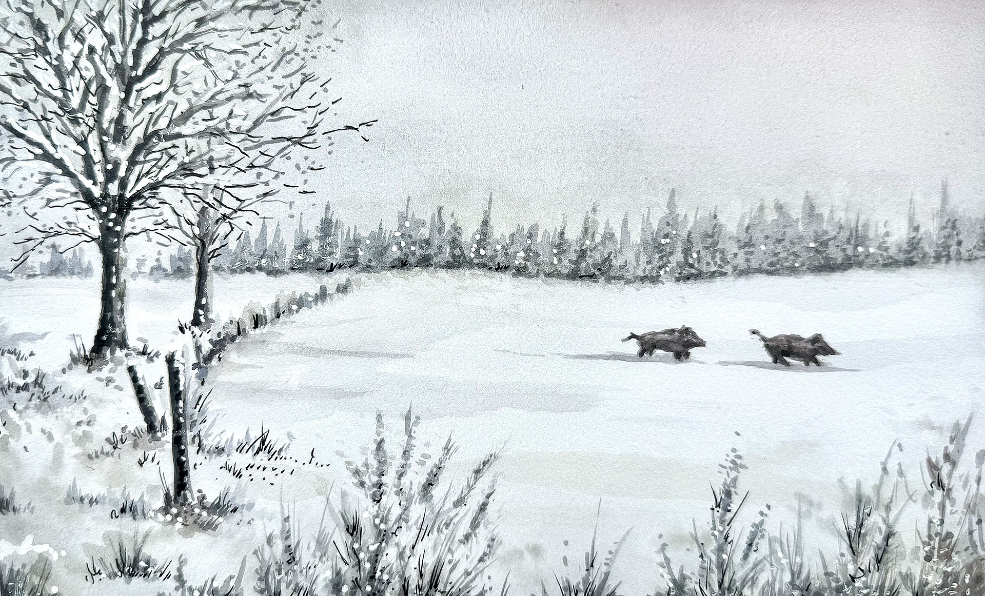 Winter scene